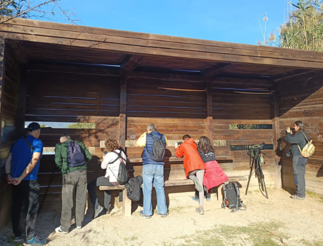 Sortida guiada: Can Dimoni, interpretació i anellament d'ocells