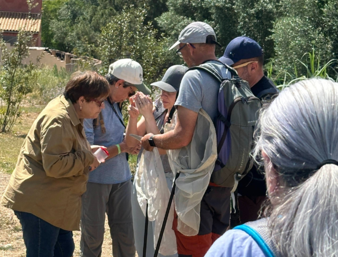 Setmana de la Natura: Itinerari per observar Papallones