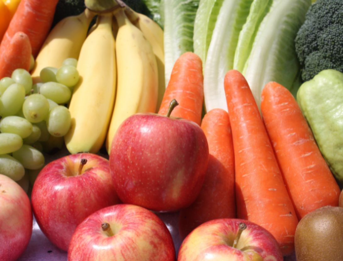 Jugatecambiental. Fem una bossa tote amb materials de rebuig i Nutrició saludable