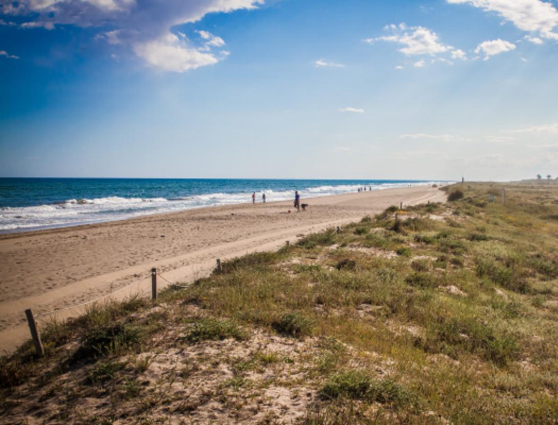 Coneix les platges i les dunes metropolitanes