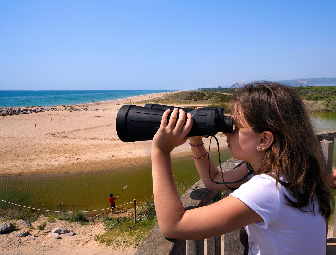 Netegem les platges del Remolar i Cal Francès