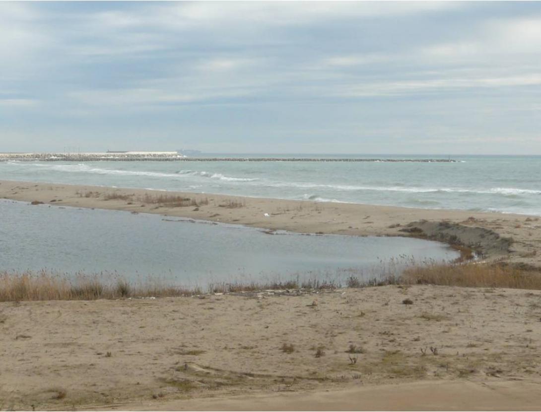 Netegem la platja de Ca l’Arana