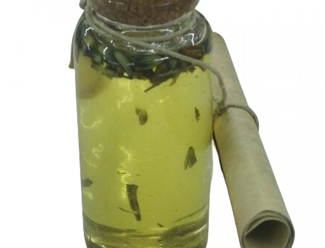 Taller d’olis amb plantes remeieres