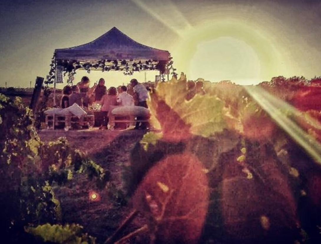 posta de sol ca nestella.jpg