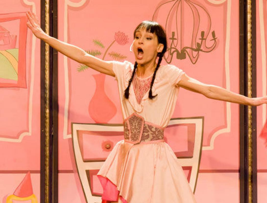 princesa rosa, espai maragall gava