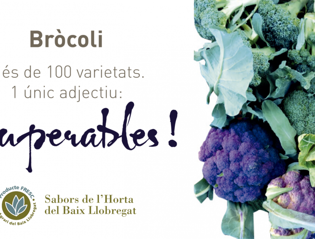 PRODUCTES PROXIMITAT_DEF-5 brócoli tardor.png