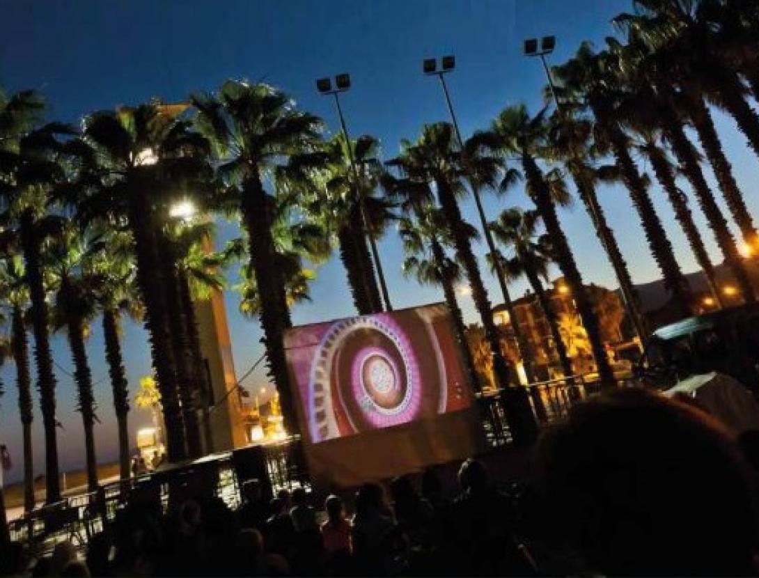 Cinema entre palmeres