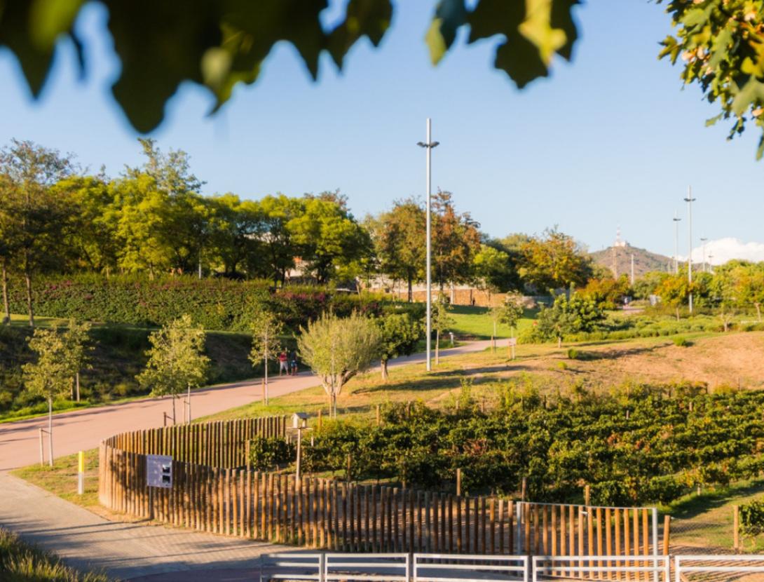 El Parc de la Fontsanta: de torrent a parc