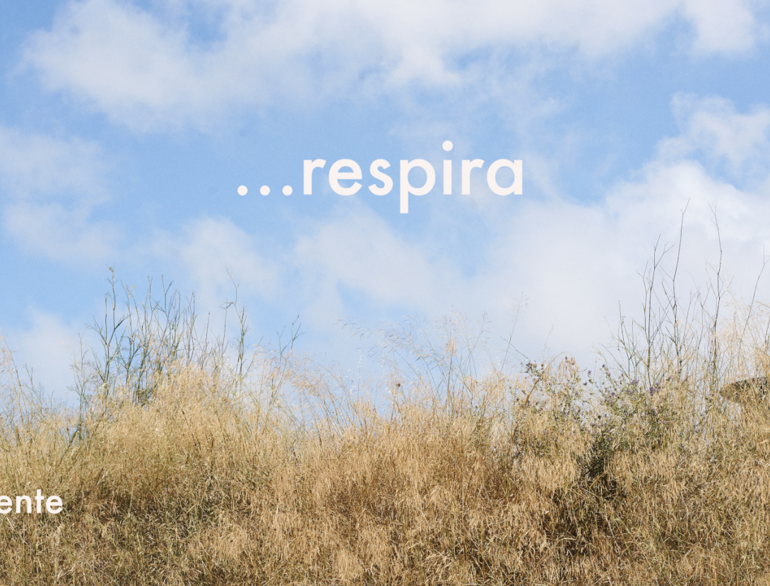 Windu presenta l’espectacle “Wind”