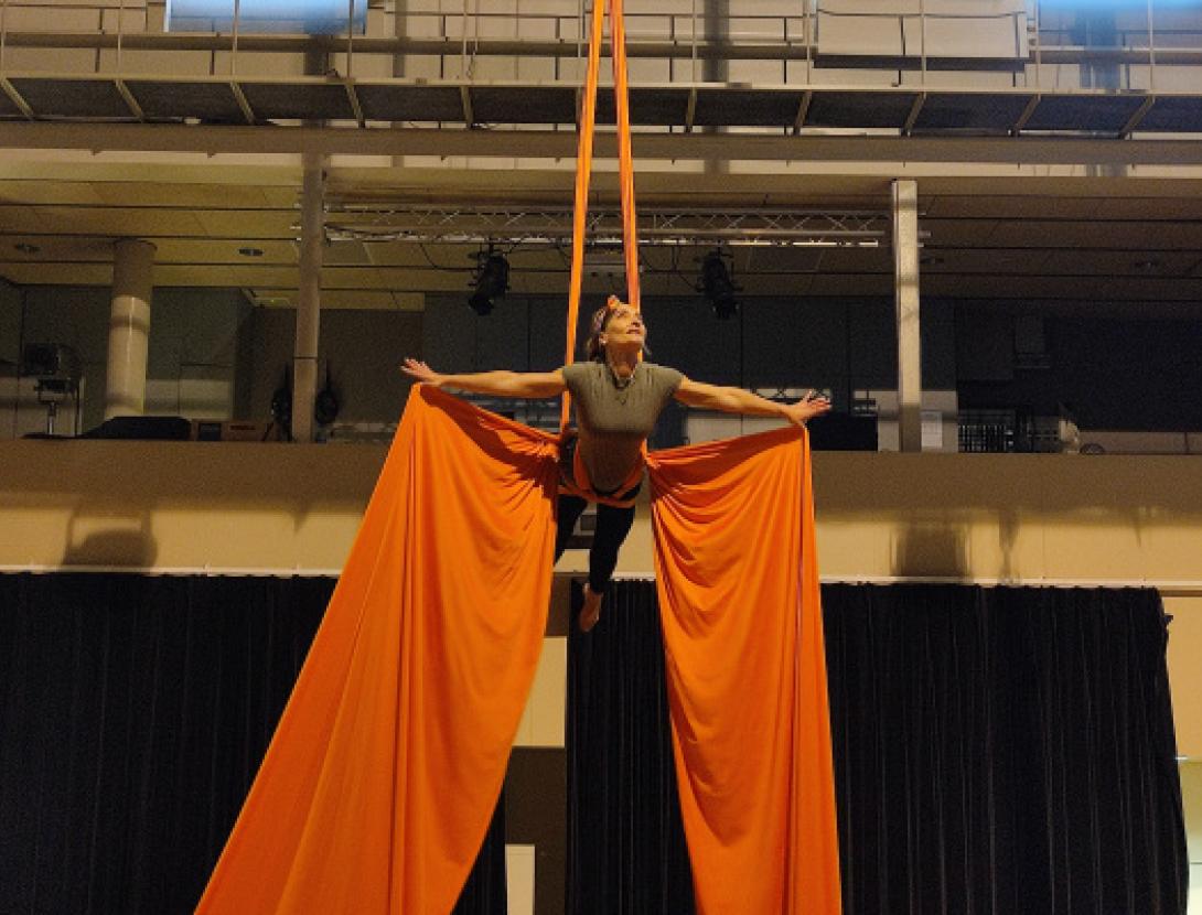 Mostra d'aeris: "Volem volar!"