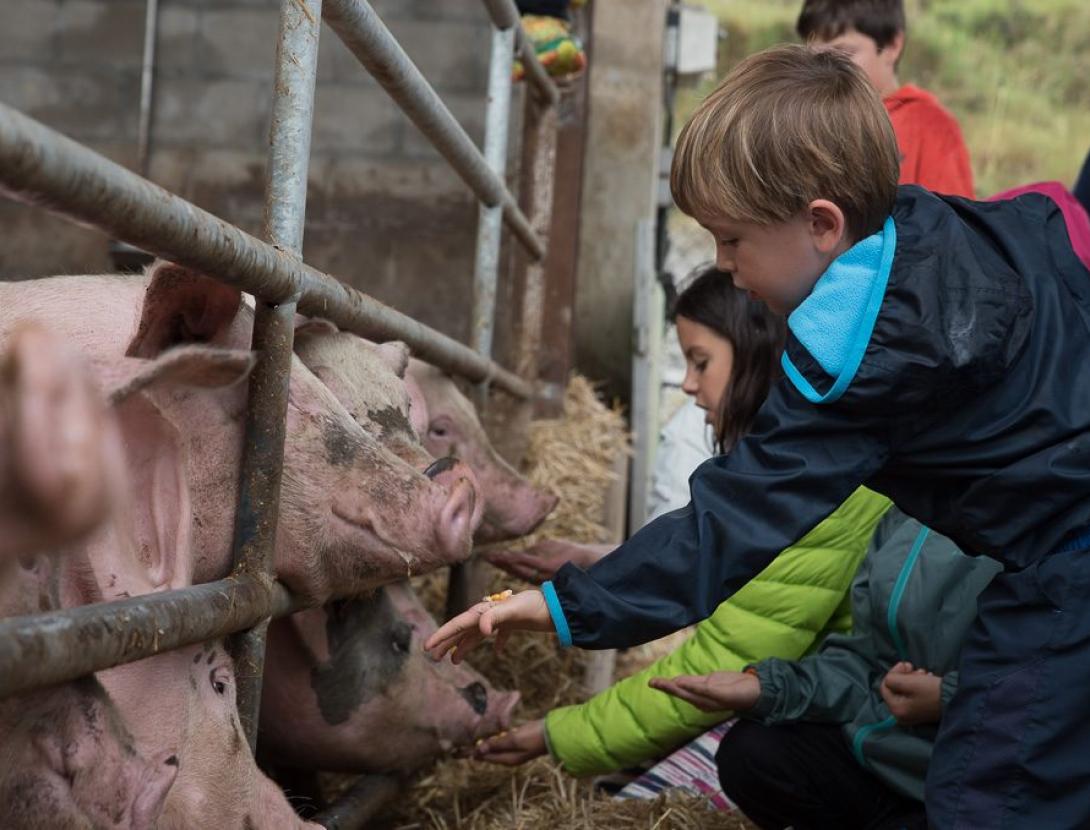 Vine a Pagès amb el Baix Llobregat