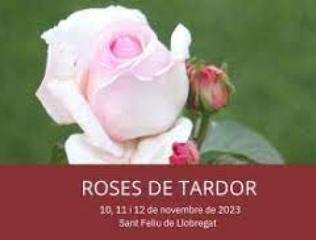 Roses de Tardor 2019