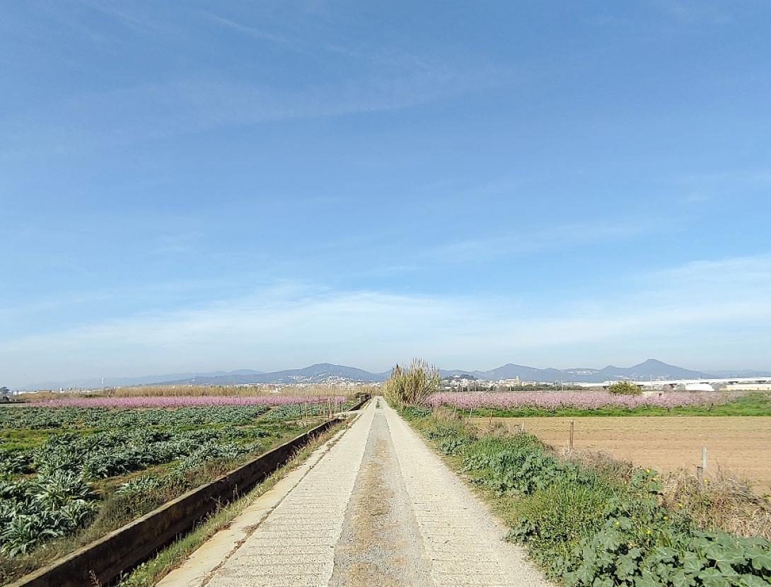 Ruta Carxofera Codis QR.jpg