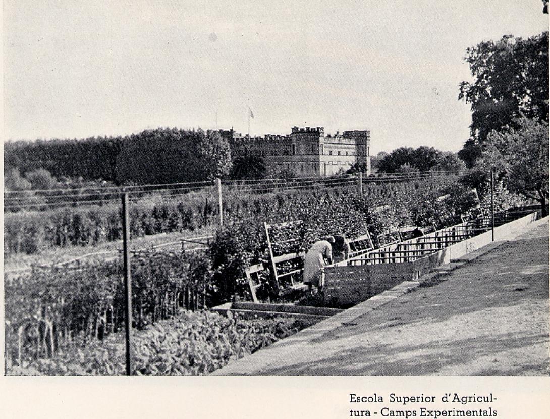 Salvaguarda del Palau Mercader durant la Guerra Civil espanyola.jpg