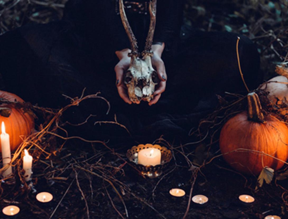 sang i fetge_bcn.jpg