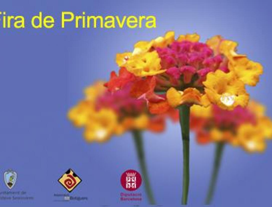 Sant Esteve Sesrovires3.jpg