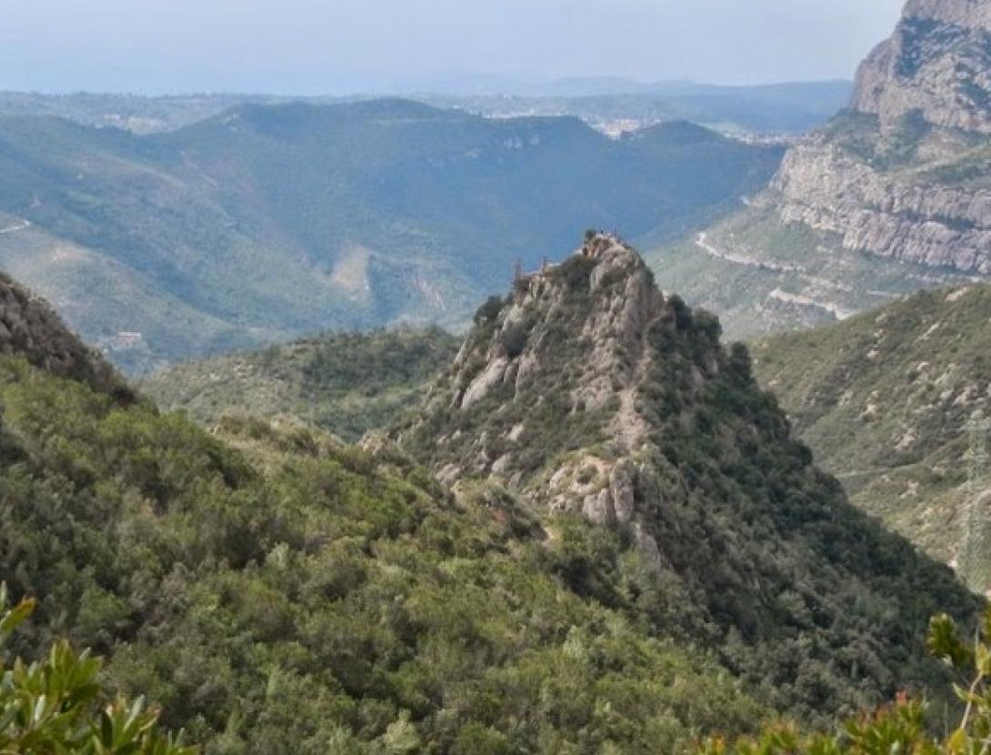 sant salvador de les espases.jpg