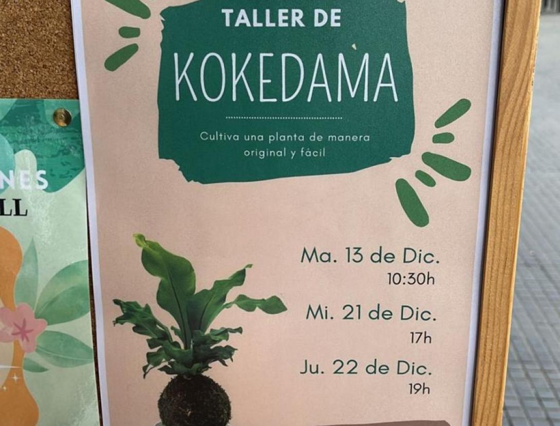 Kokedama