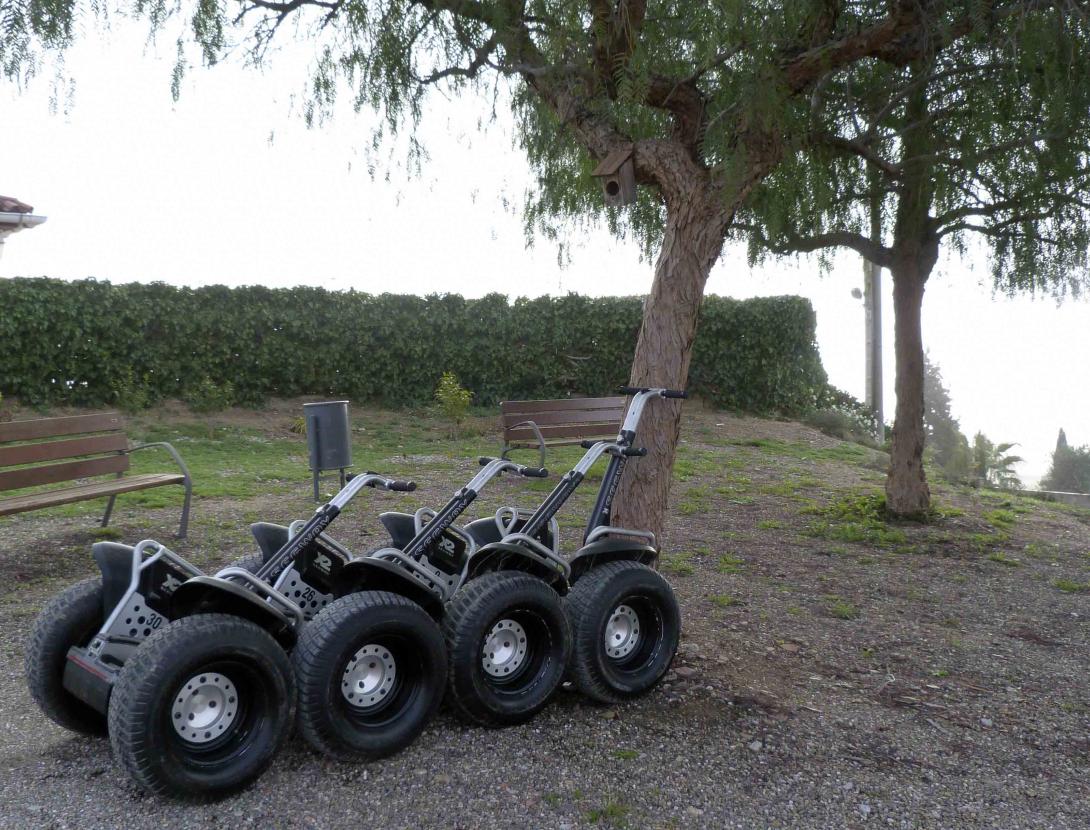 Tinta i Vi, Estudi d'art