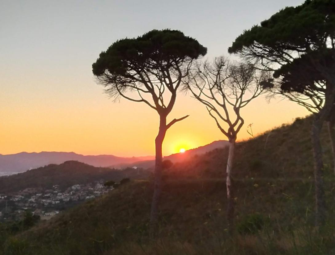 Capvespre a Sant Pere Màrtir