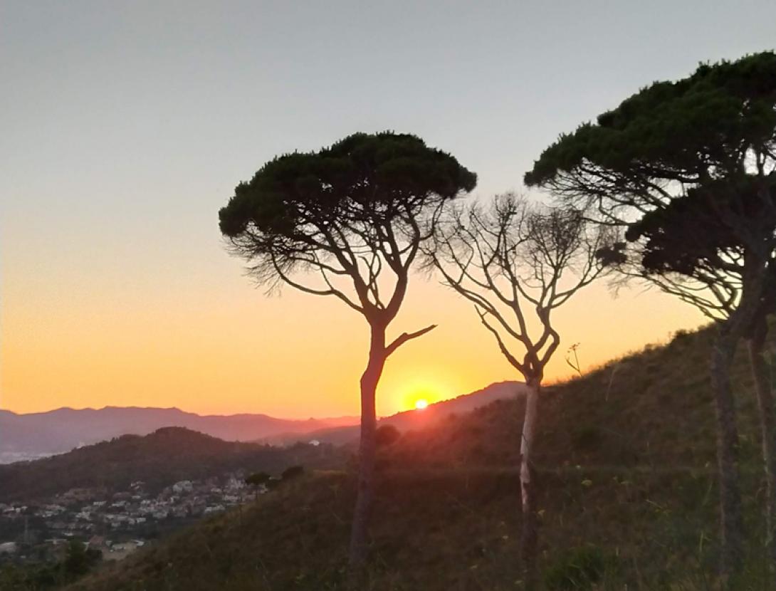 Un capvespre a Sant Pere Màrtir