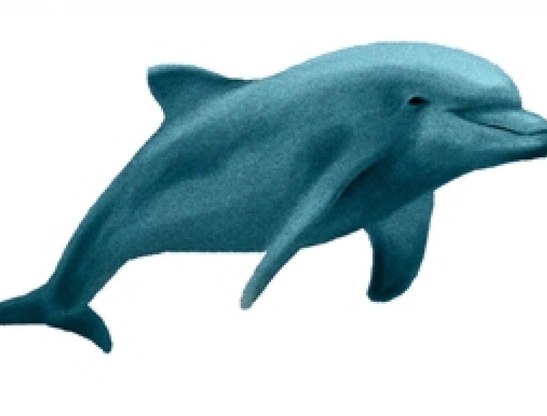 SUPERFÍCIE - copia.jpg