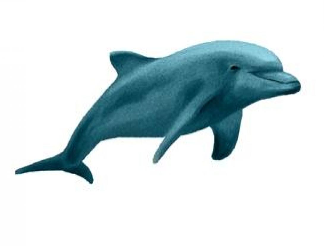 SUPERFÍCIE - copia_1.jpg