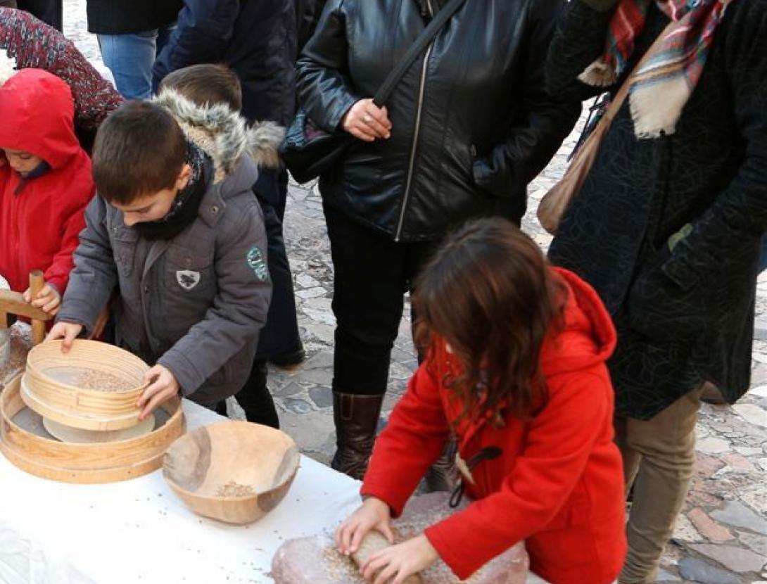 taller botica Sana turisme.jpg