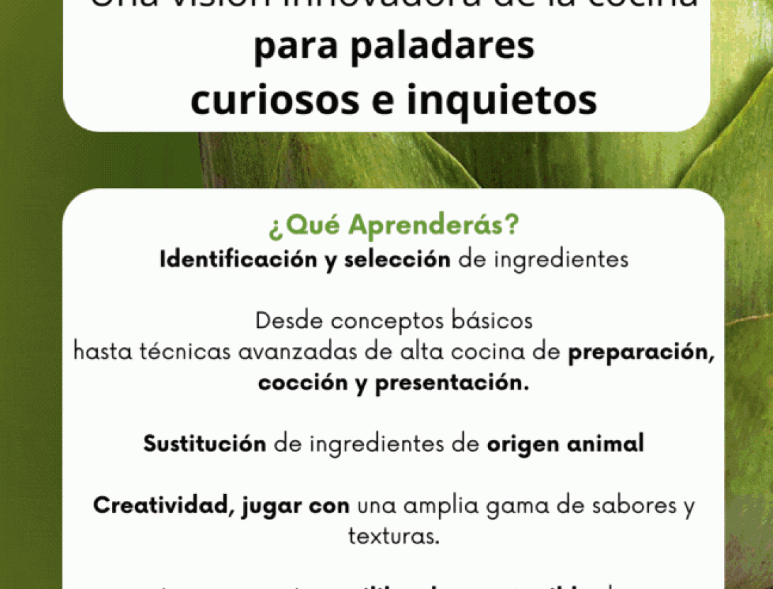 Taller Menú Veggie