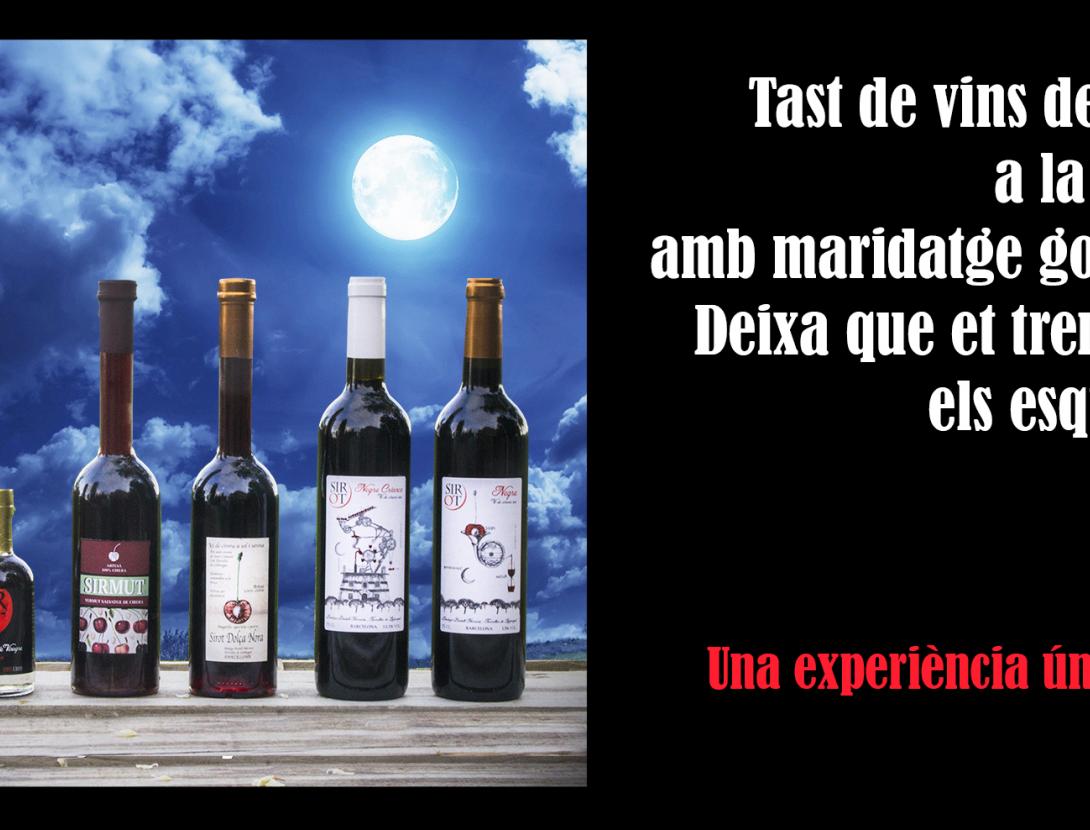 TAST LLUNA PLENA SIROT  horizontal copia.jpg