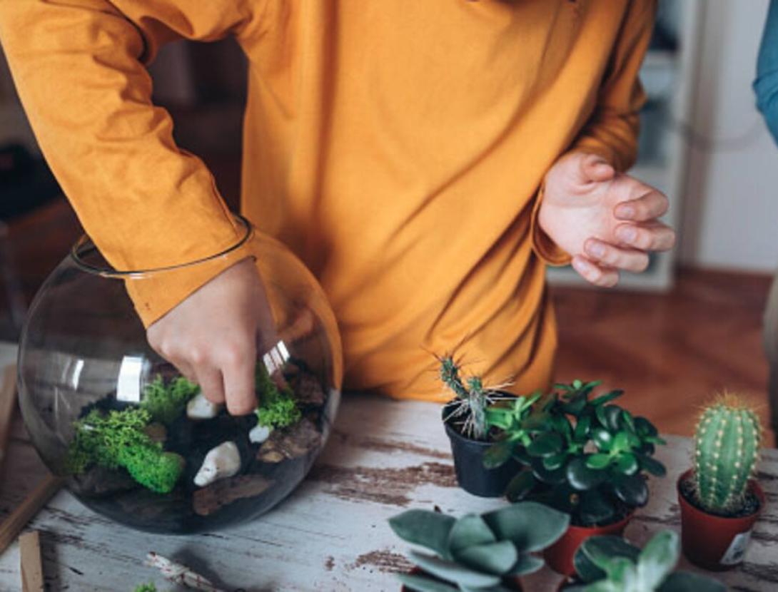 Taller de terraris amb família