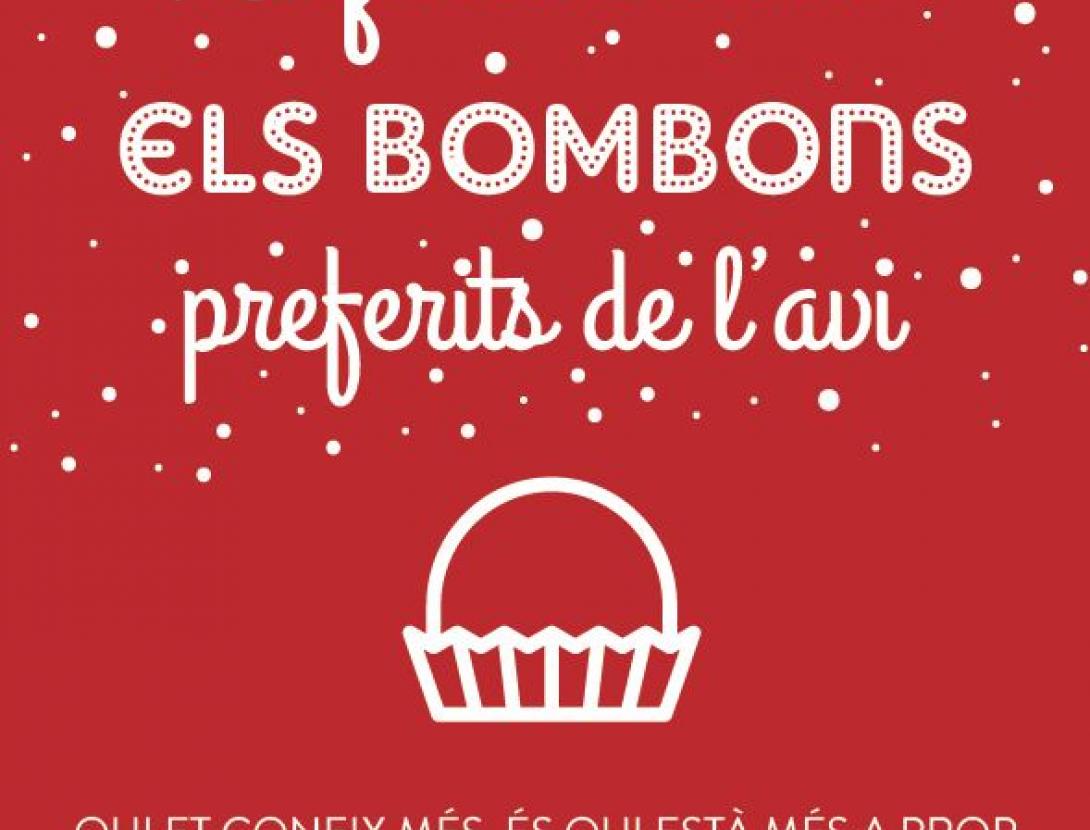 Tió Sant Andreu.JPG