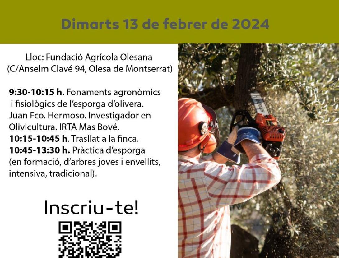 Esporga de l'Olivera al Parc Rural del Montserrat