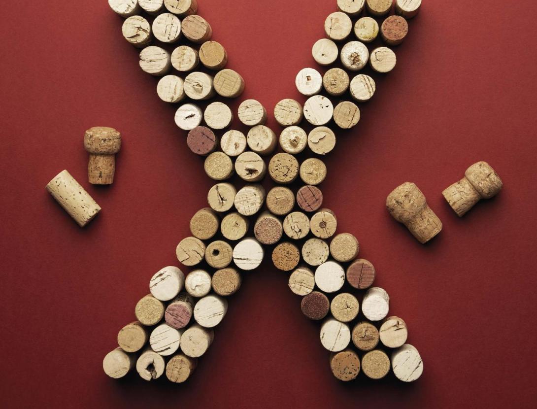 10a FIRA DEL VI I EL CAVA