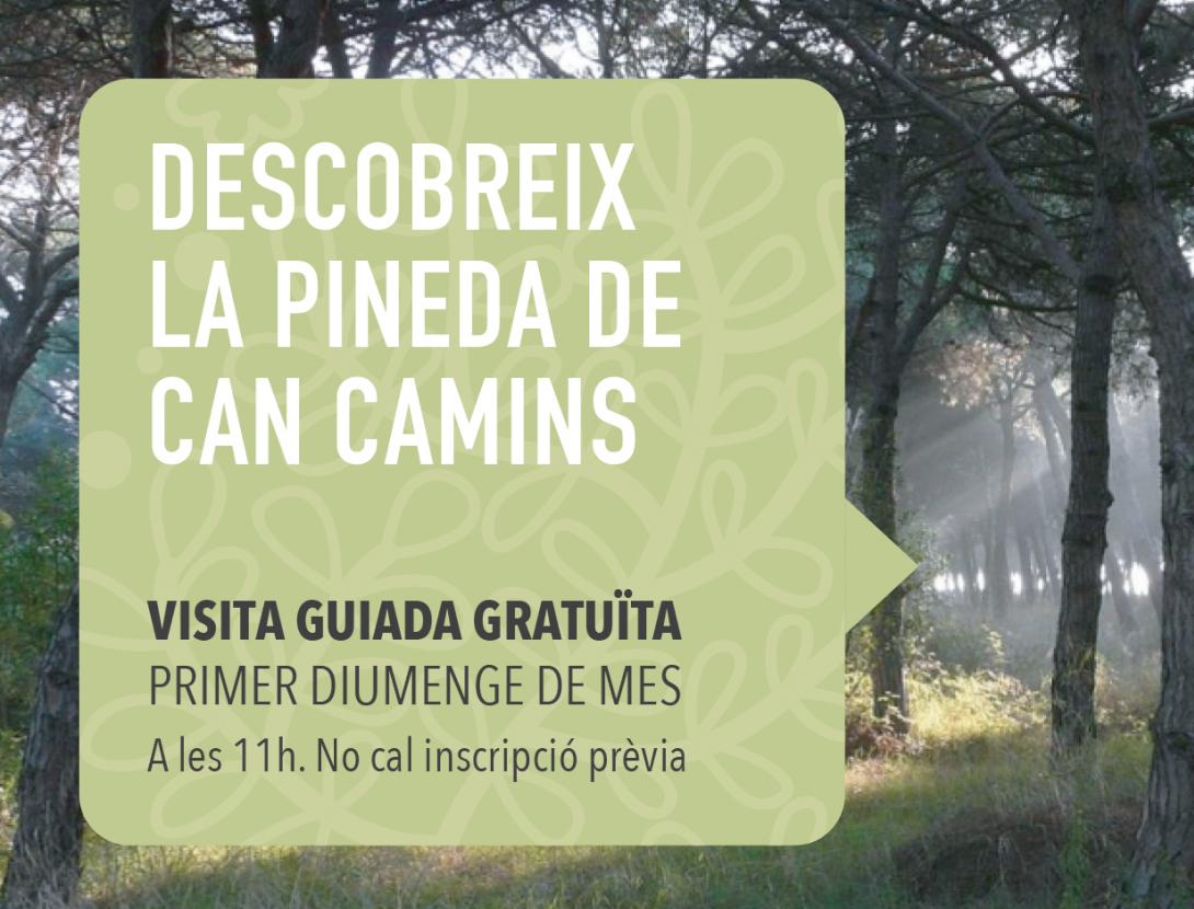 Visita guiada a la Pineda de Can Camins