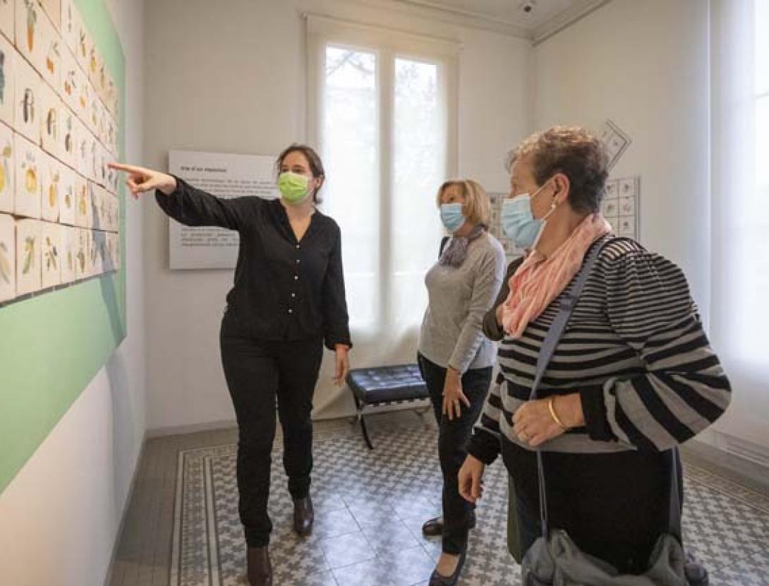 Visites guiades als Museus d'Esplugues de Llobregat