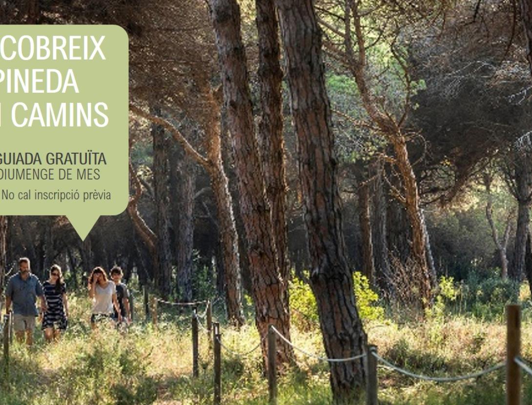 Visita guiada a la Pineda de Can Camins