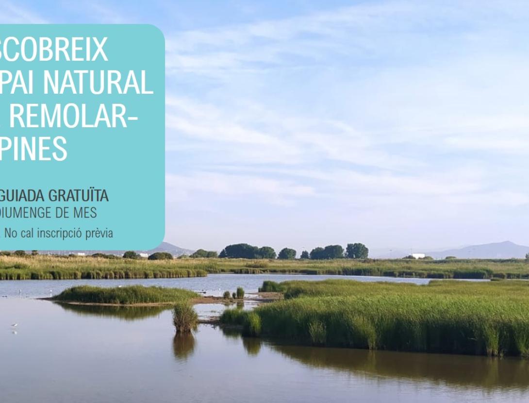 Visita guiada a l’Espai Natural del Remolar-Filipines