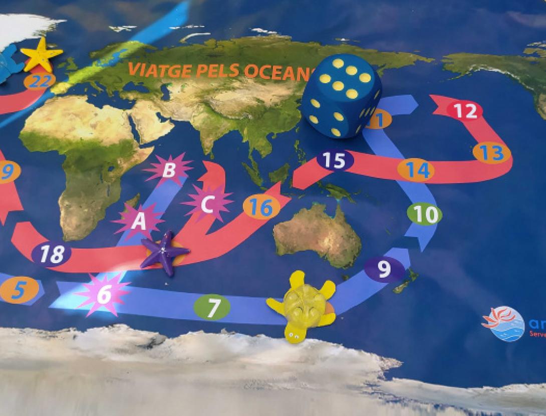 Jugateca a la platja: viatge pel oceans