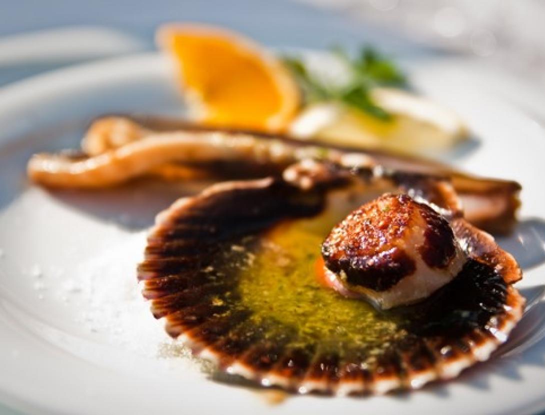 Vieiras amb reducció de Armagnac