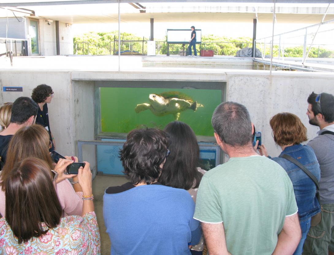 Visita tècnica_12.JPG