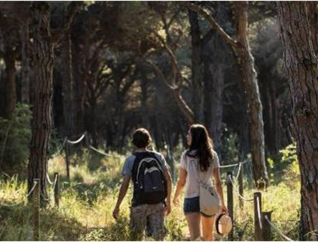 Jornada de descoberta Visita Guiada Pineda de Can Camins_El Prat de Llobregat