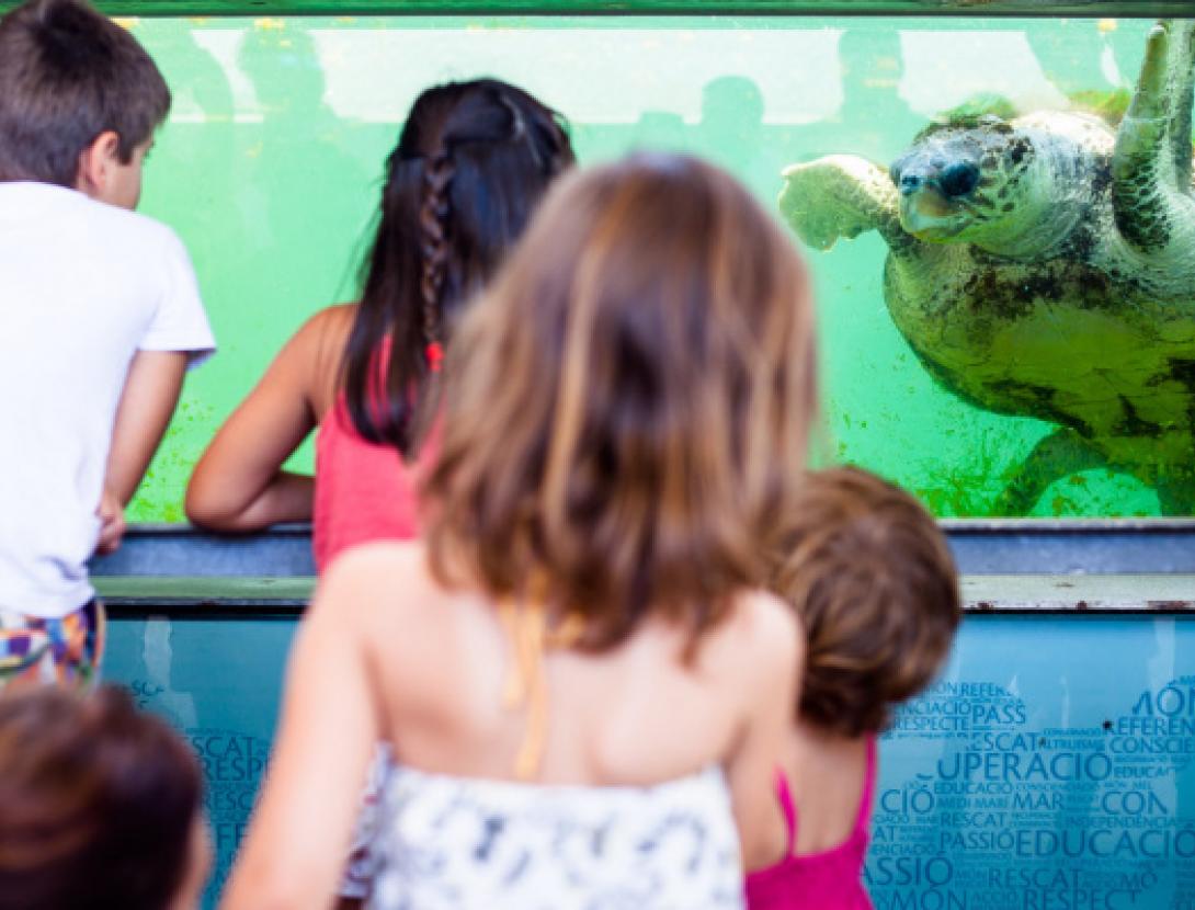 Visites guiades al CRAM