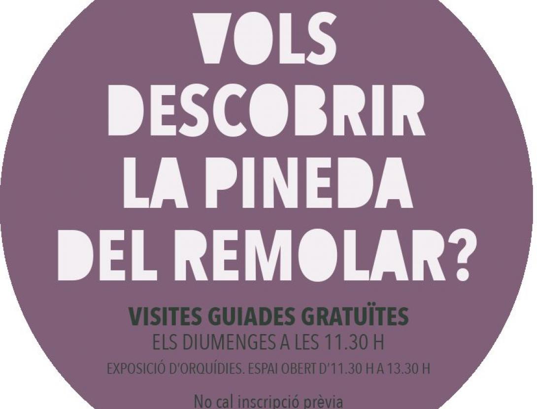 Visita guiada a la Pineda del Remolar i Exposició d'orquídies