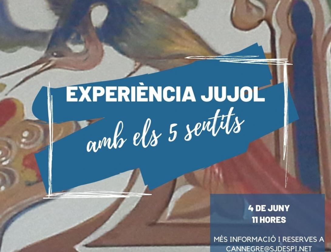 Experiència Jujol amb els 5 sentits