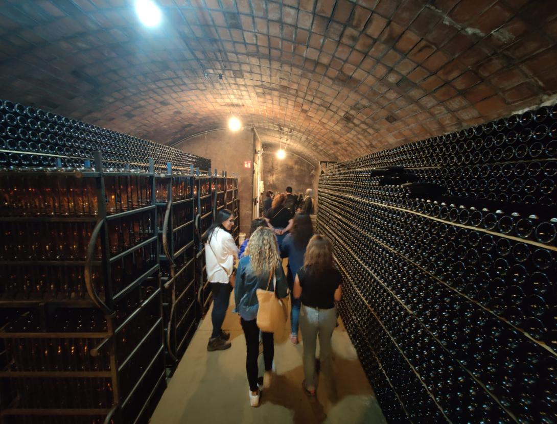 Descobreix i degusta els vins i caves ecològics i vegans del Celler i Museu del Vi Ramon Canals