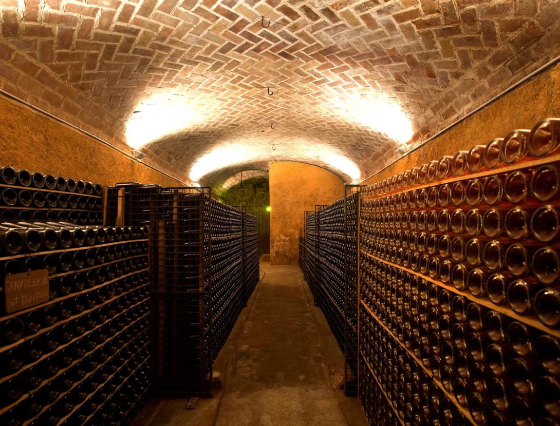 Celler i Museu del Vi Ramon Canals