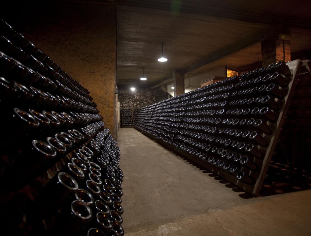 Celler i Museu del Vi Ramon Canals