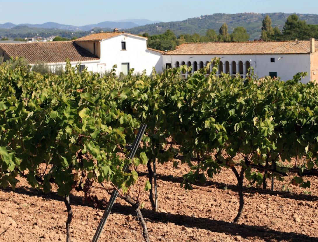 Bodegues Ca n'Estella