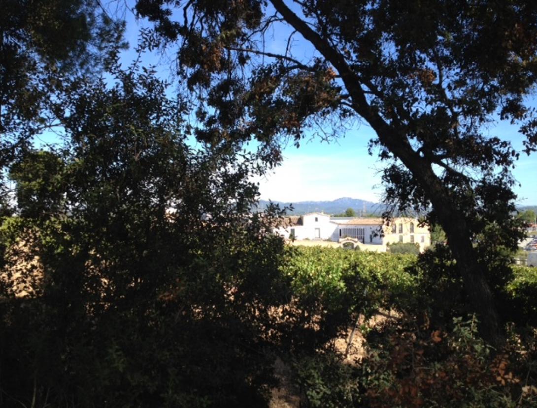 Bodegues Ca n'Estella